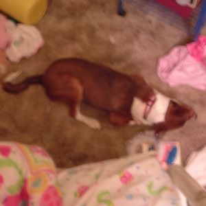 Meet your Posher, Spencer